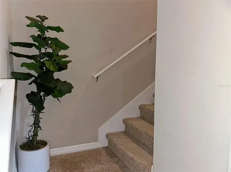 10126 Salt Point Drive Winter Garden FL 34787