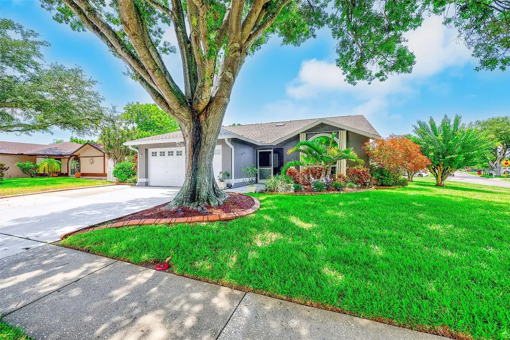 7969 Somerset Drive Largo FL 33773