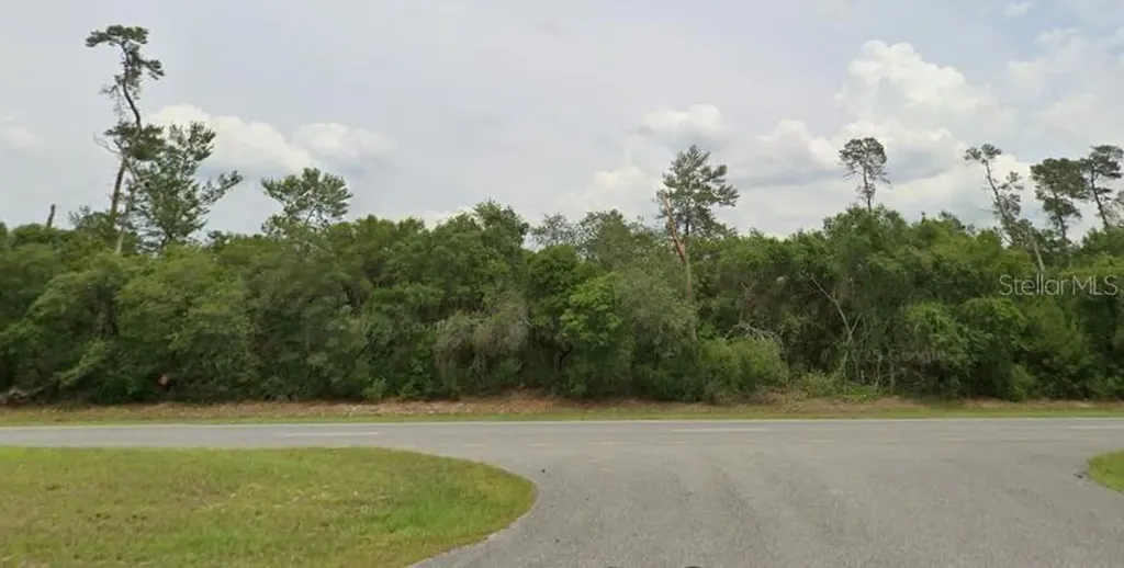 Tbd Marion Oaks Boulevard Ocala FL 34473