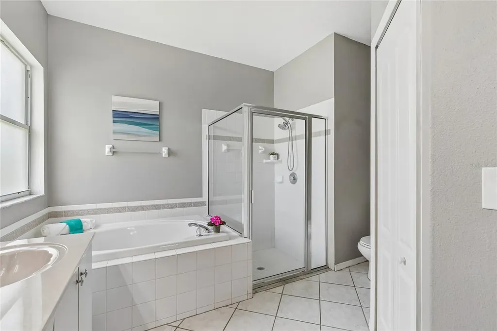 27211 Liriope Court Wesley Chapel FL 33544