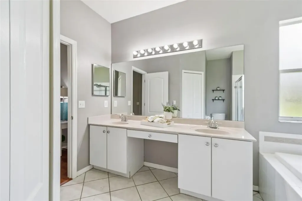 27211 Liriope Court Wesley Chapel FL 33544