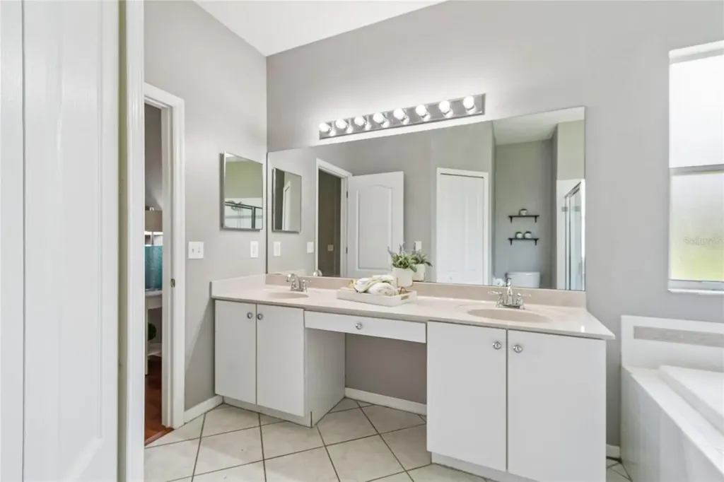 27211 Liriope Court Wesley Chapel FL 33544