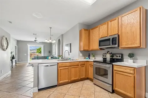 27211 Liriope Court Wesley Chapel FL 33544
