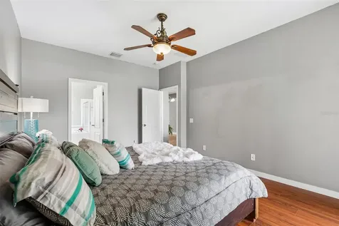 27211 Liriope Court Wesley Chapel FL 33544