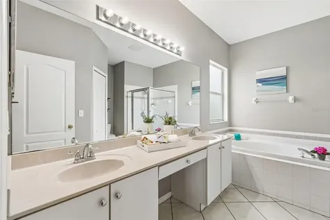27211 Liriope Court Wesley Chapel FL 33544
