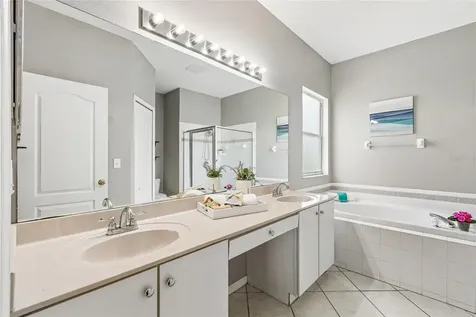 27211 Liriope Court Wesley Chapel FL 33544