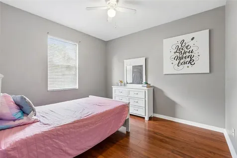 27211 Liriope Court Wesley Chapel FL 33544