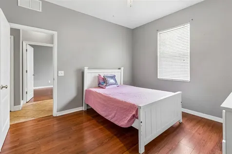 27211 Liriope Court Wesley Chapel FL 33544
