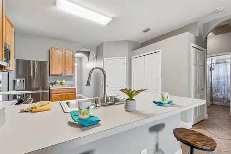 27211 Liriope Court Wesley Chapel FL 33544