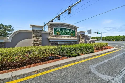 27211 Liriope Court Wesley Chapel FL 33544