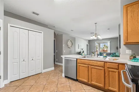 27211 Liriope Court Wesley Chapel FL 33544