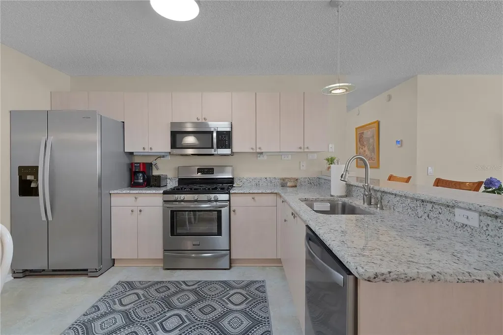 16933 SE 94th Sunnybrook Circle The Villages FL 32162