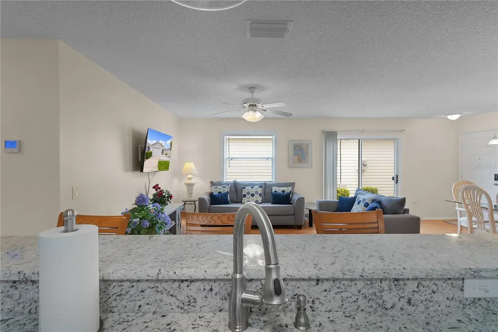 16933 SE 94th Sunnybrook Circle The Villages FL 32162