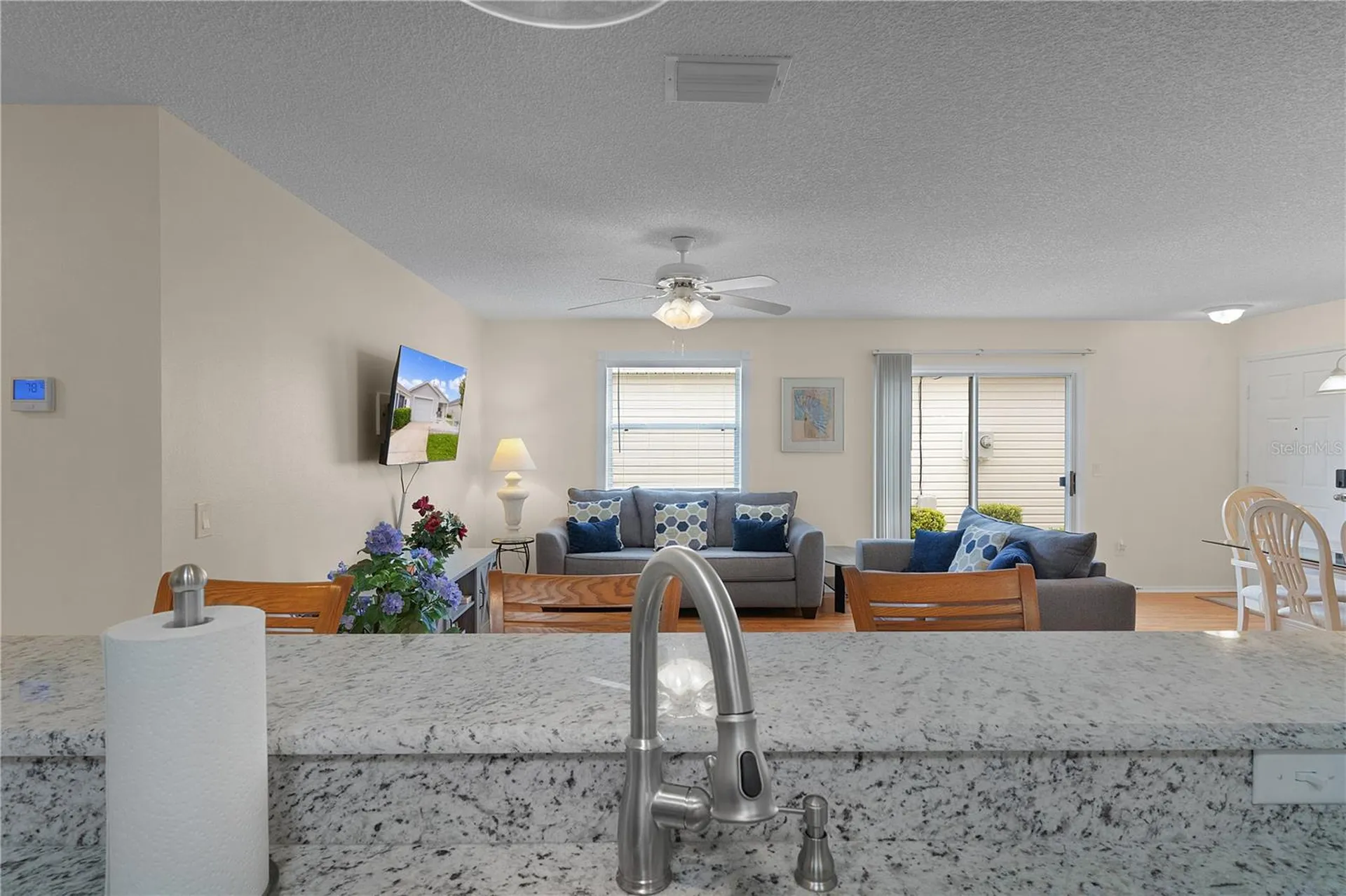 16933 SE 94th Sunnybrook Circle The Villages FL 32162