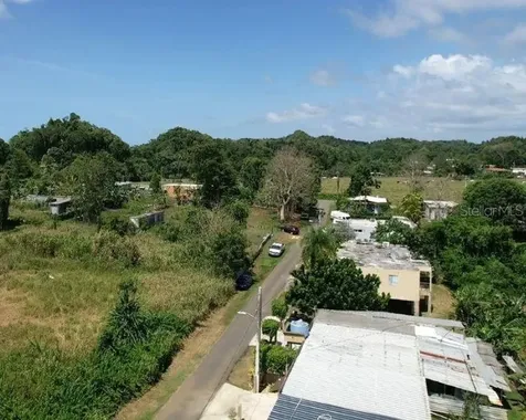 Bo. Dominguito, Sector Los Colonos, Arecibo PR 00612