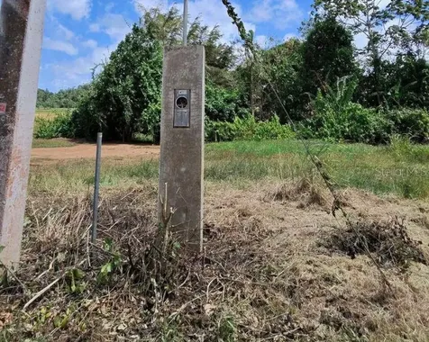 Bo. Dominguito, Sector Los Colonos, Arecibo PR 00612