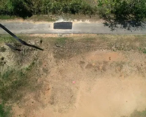 Bo. Dominguito, Sector Los Colonos, Arecibo PR 00612