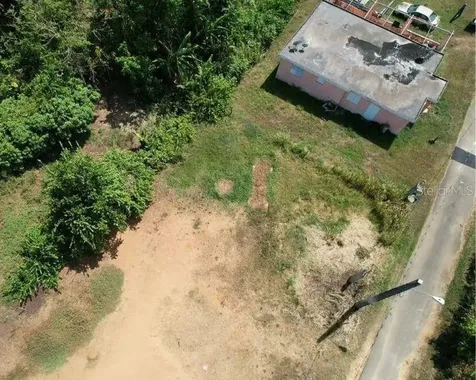 Bo. Dominguito, Sector Los Colonos, Arecibo PR 00612