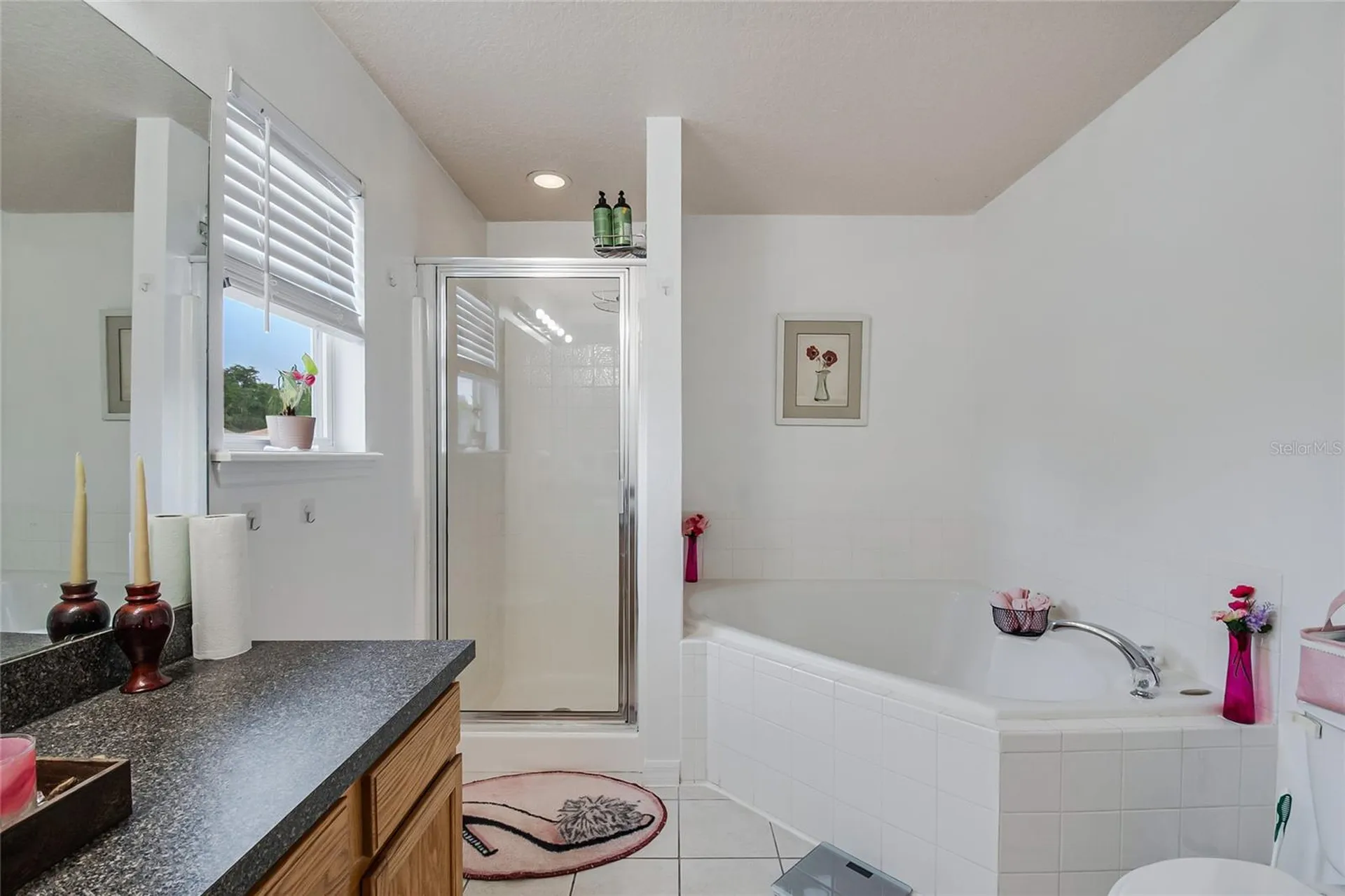 1228 Sandy Ridge Drive Davenport FL 33896
