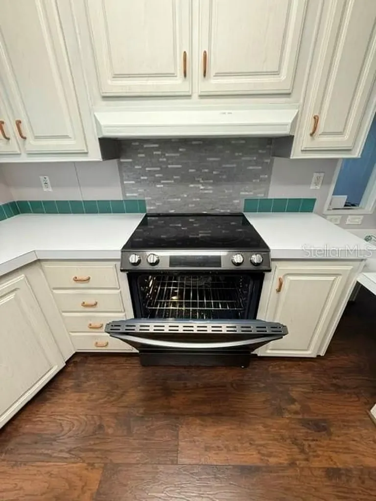 816 Elkan Drive Tarpon Springs FL 34689