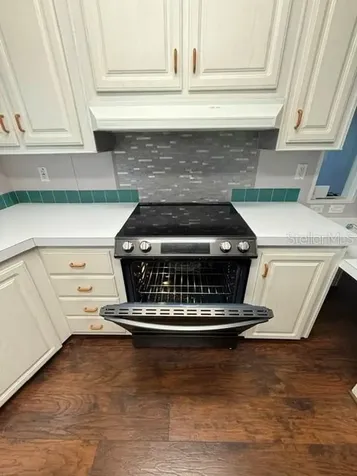 816 Elkan Drive Tarpon Springs FL 34689