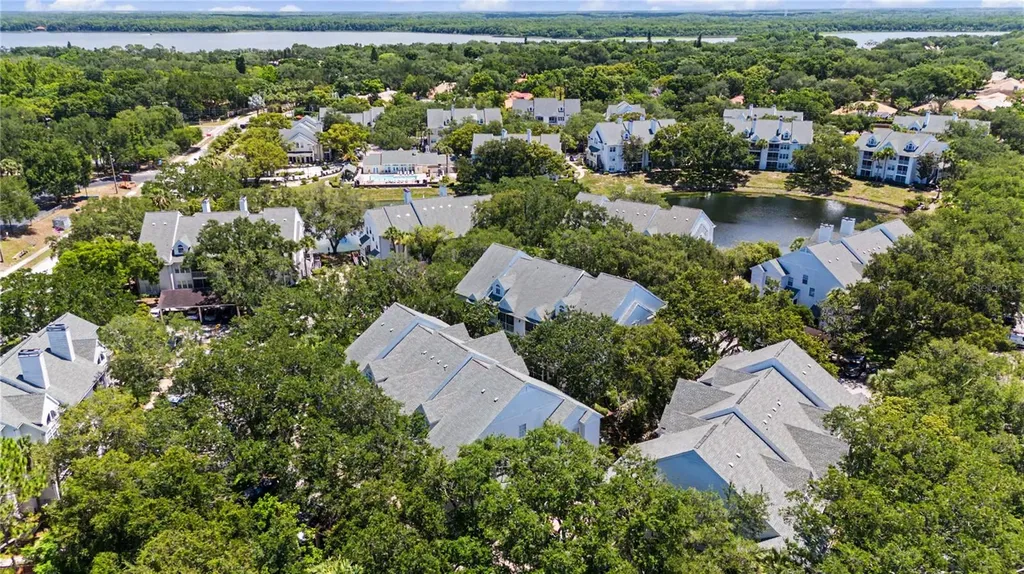 3266 Haviland Court Palm Harbor FL 34684