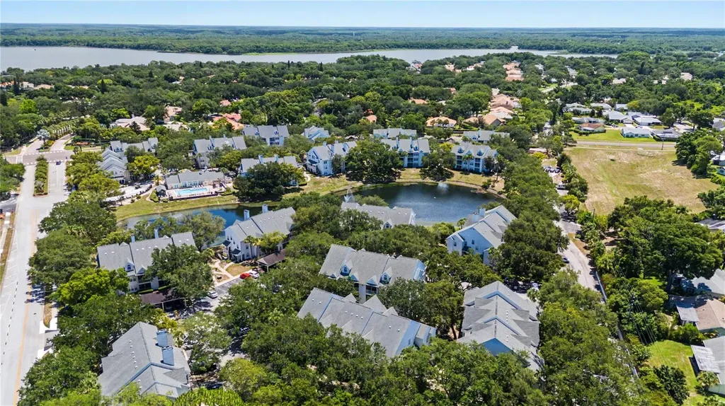 3266 Haviland Court Palm Harbor FL 34684