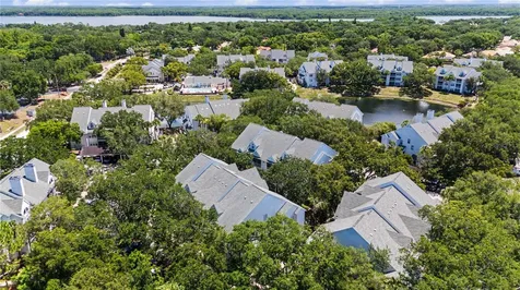 3266 Haviland Court Palm Harbor FL 34684