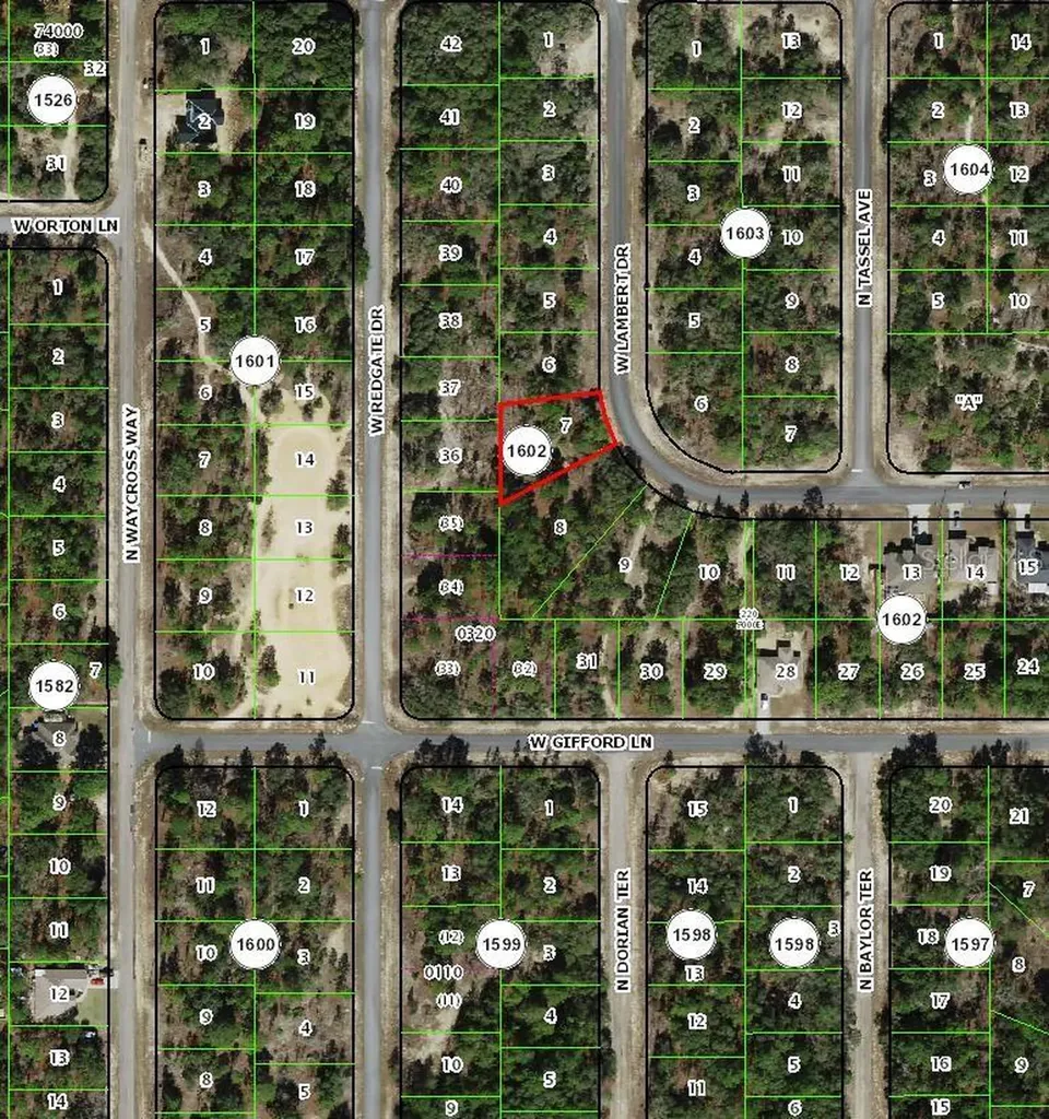 2882 W Lambert Drive Dunnellon FL 34433