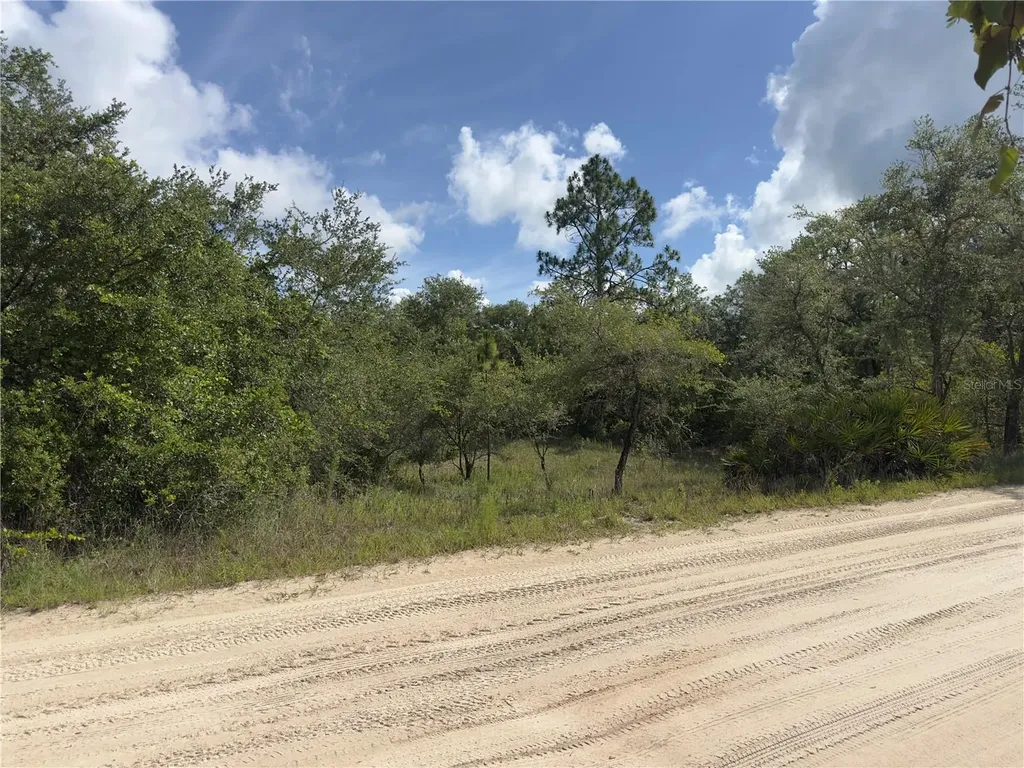 8389 SW 155th Street Dunnellon FL 34432