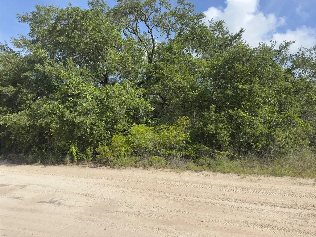 8389 SW 155th Street Dunnellon FL 34432