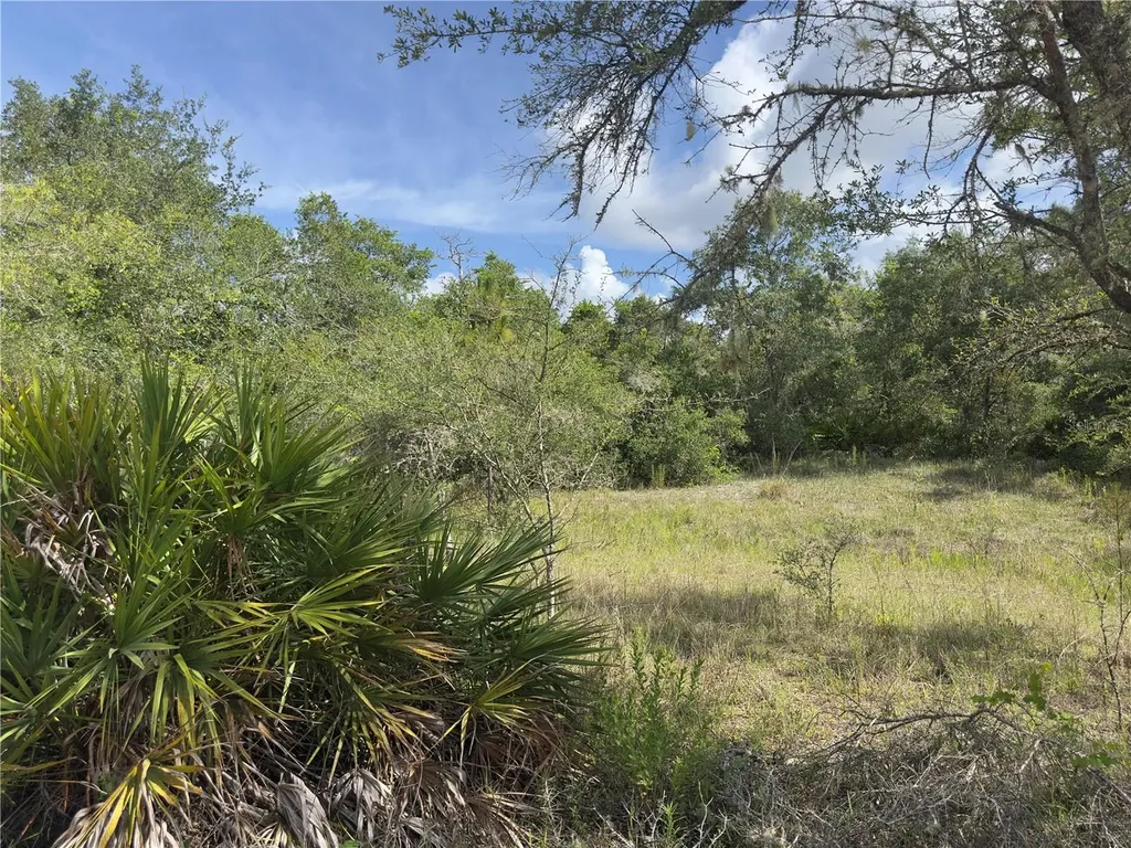 8389 SW 155th Street Dunnellon FL 34432