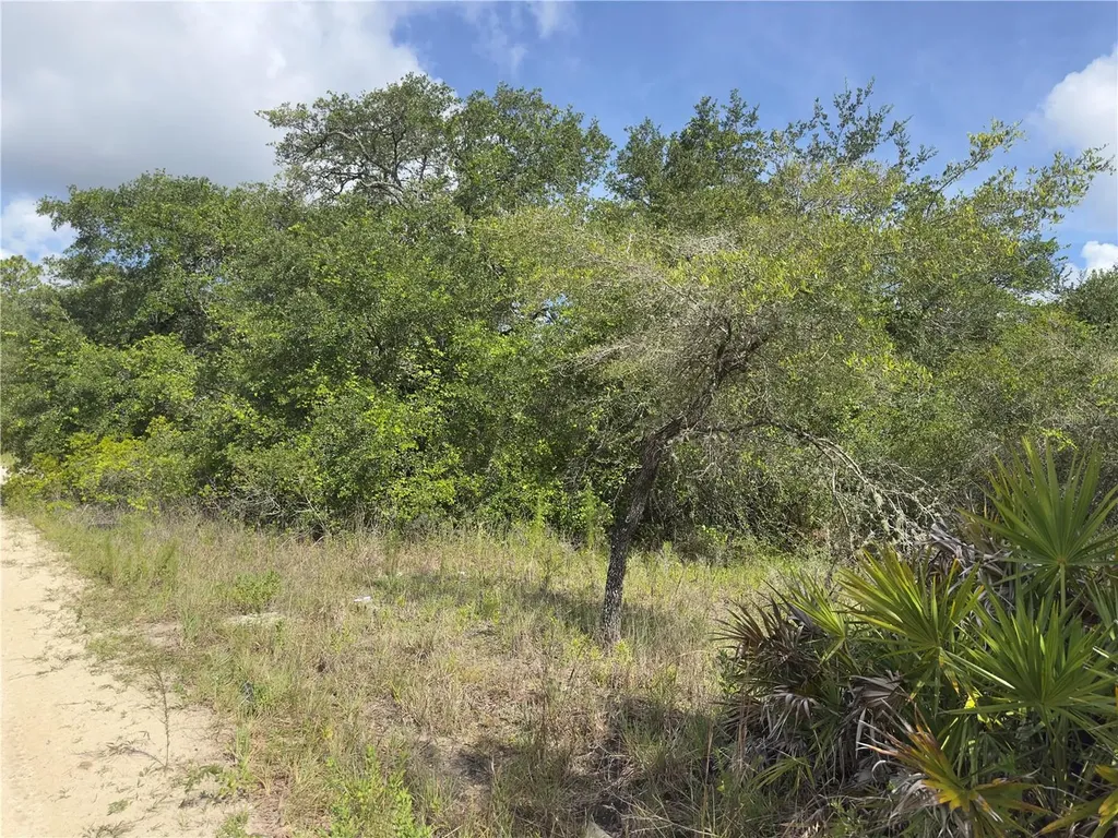 8389 SW 155th Street Dunnellon FL 34432