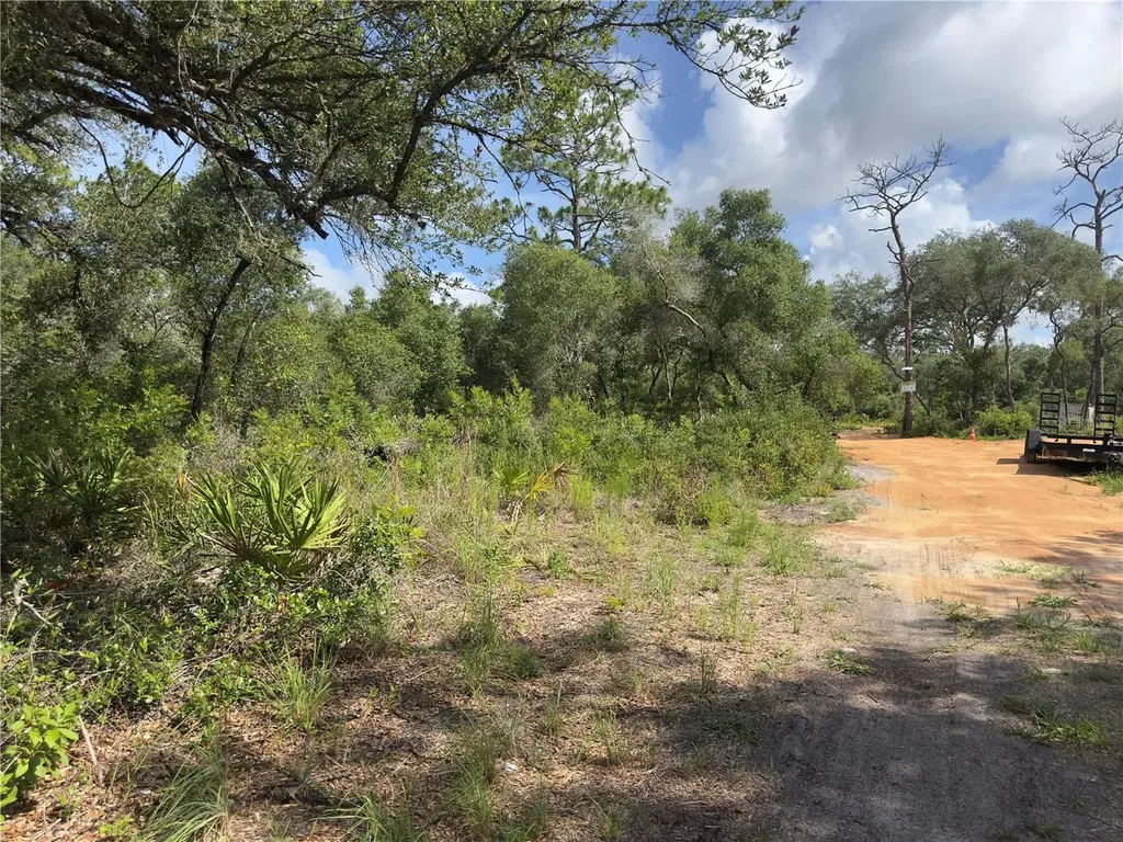 8389 SW 155th Street Dunnellon FL 34432