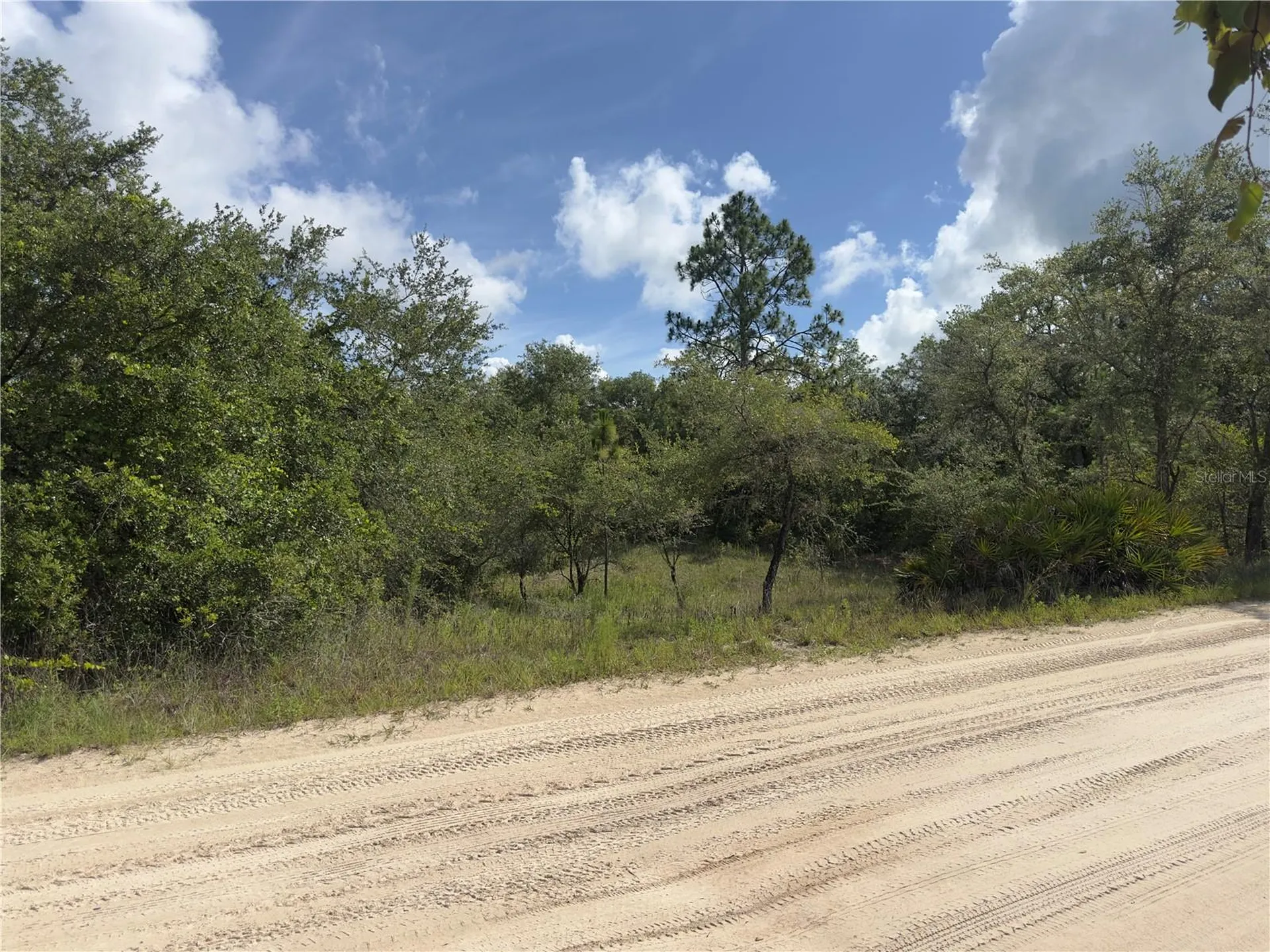 8389 SW 155th Street Dunnellon FL 34432