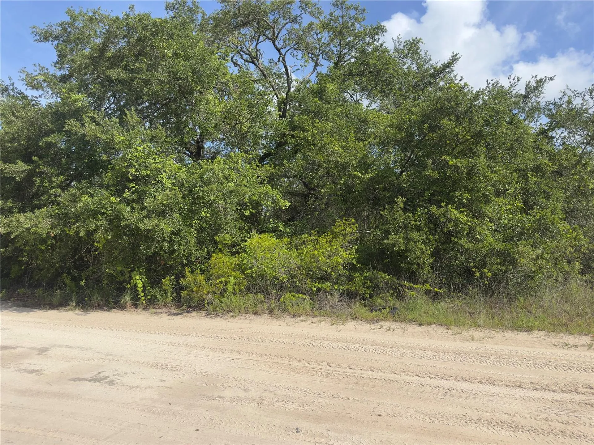 8389 SW 155th Street Dunnellon FL 34432