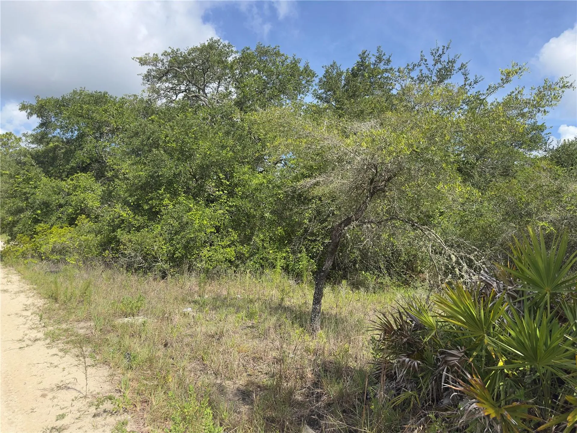 8389 SW 155th Street Dunnellon FL 34432