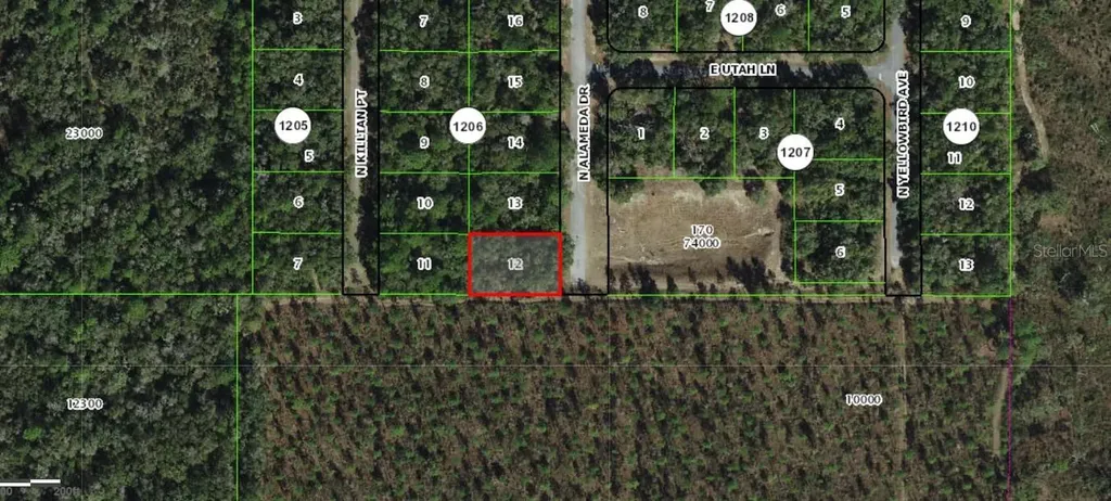 8000 N Alameda Drive Dunnellon FL 34434
