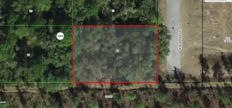 8000 N Alameda Drive Dunnellon FL 34434