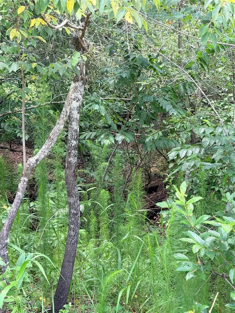 Lot 9 Hardstone Drive Webster FL 33597