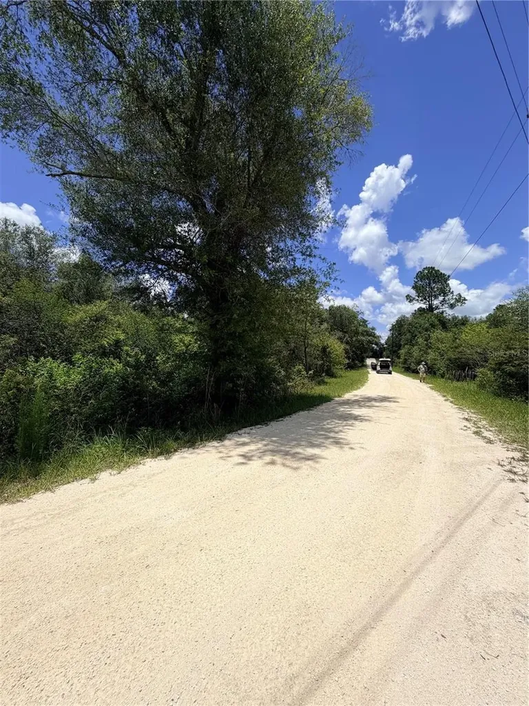 Lot 9 Hardstone Drive Webster FL 33597