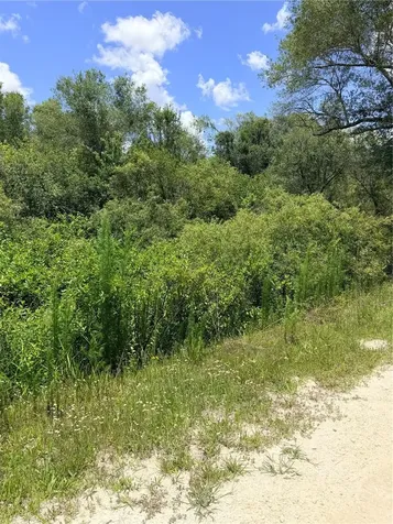 Lot 9 Hardstone Drive Webster FL 33597