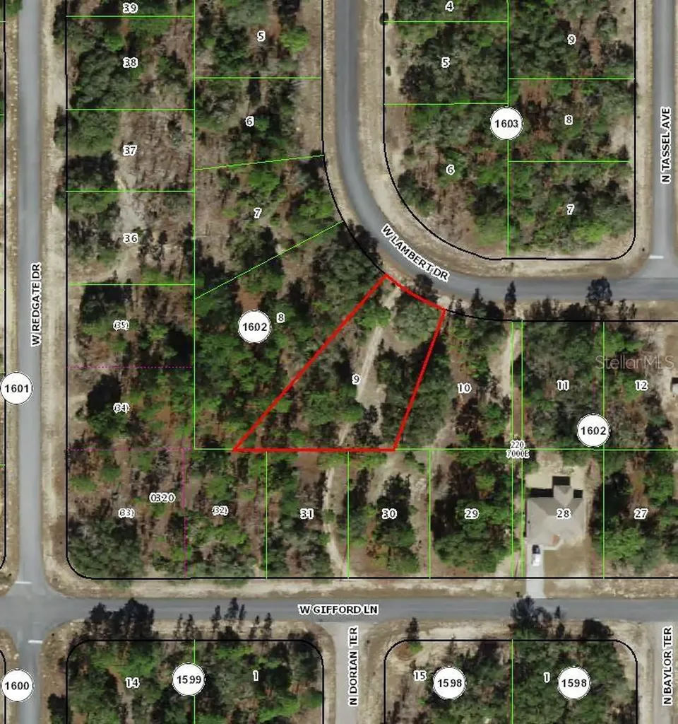 2872 W Lambert Drive Dunnellon FL 34433
