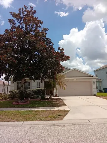 7724 Outerbridge Street Wesley Chapel FL 33545