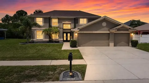 12915 Carlington Lane Riverview FL 33579