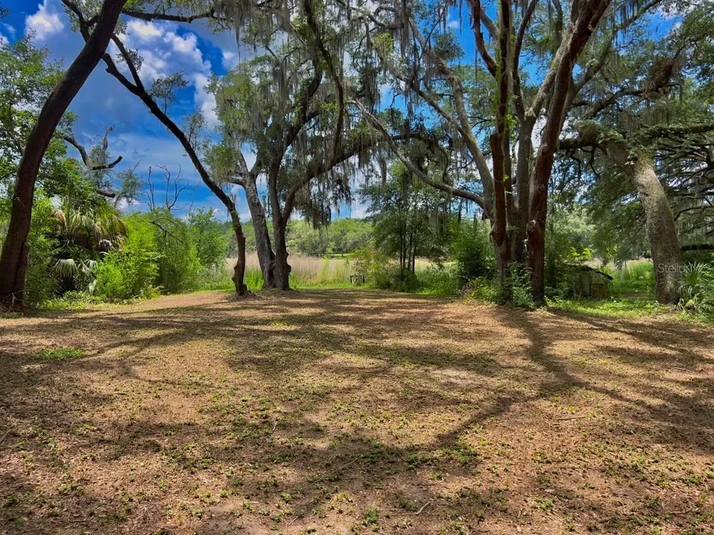 3512 SW Shorewood Drive Dunnellon FL 34431
