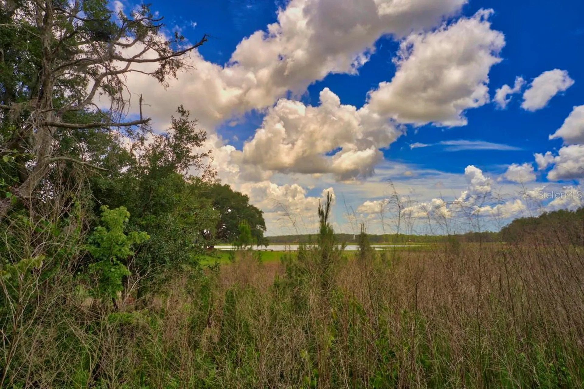 3512 SW Shorewood Drive Dunnellon FL 34431