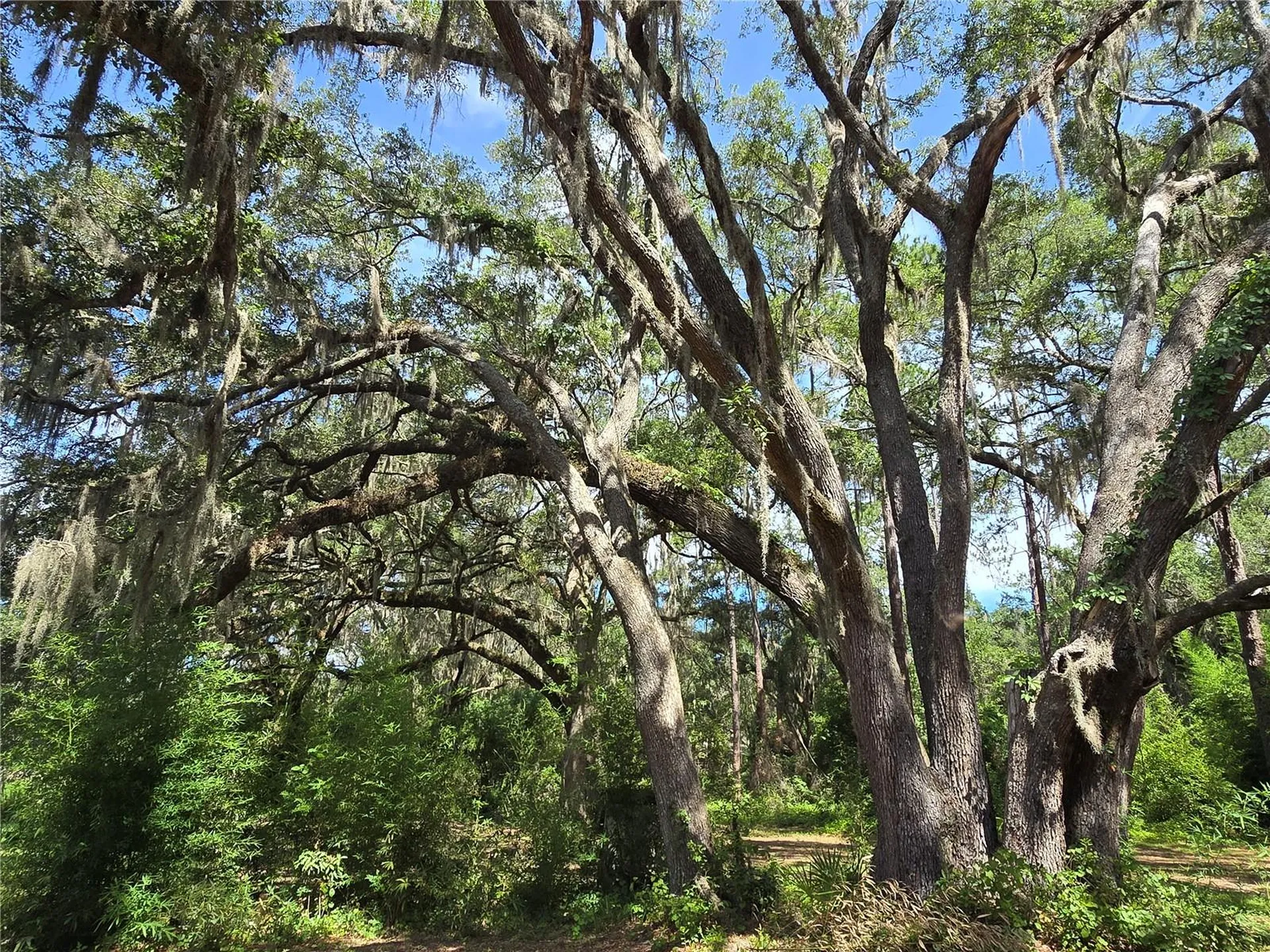 3512 SW Shorewood Drive Dunnellon FL 34431