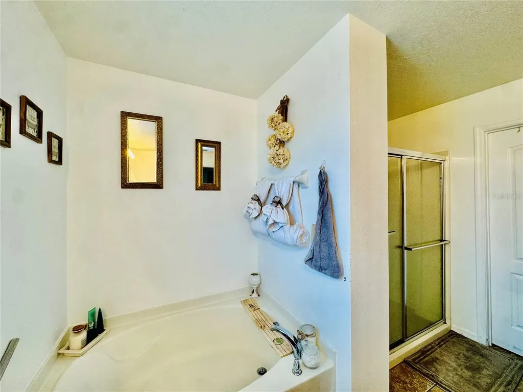 1868 Monte Cristo Lane Kissimmee FL 34758