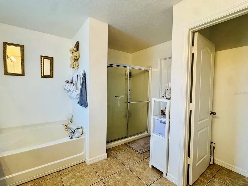 1868 Monte Cristo Lane Kissimmee FL 34758